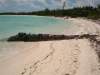 GILLUM BAY 2